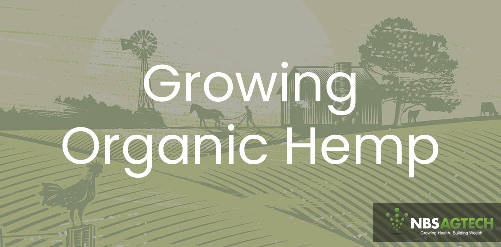 grow-organic-hemp